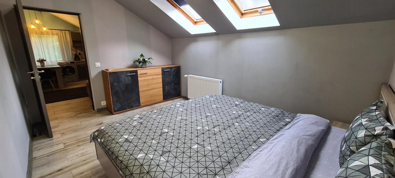 Comfort Home Apartment 3 Petroşani Εξωτερικό φωτογραφία